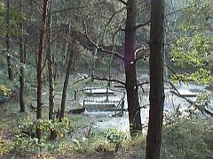 2002-08-31.28 mru -  okolice Awerku petla borysz